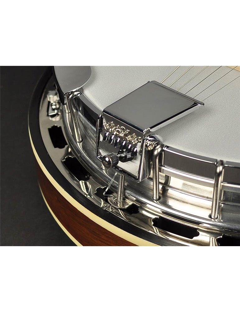 Banjo 6 cuerdas Richwood aluminio-ébano 24T