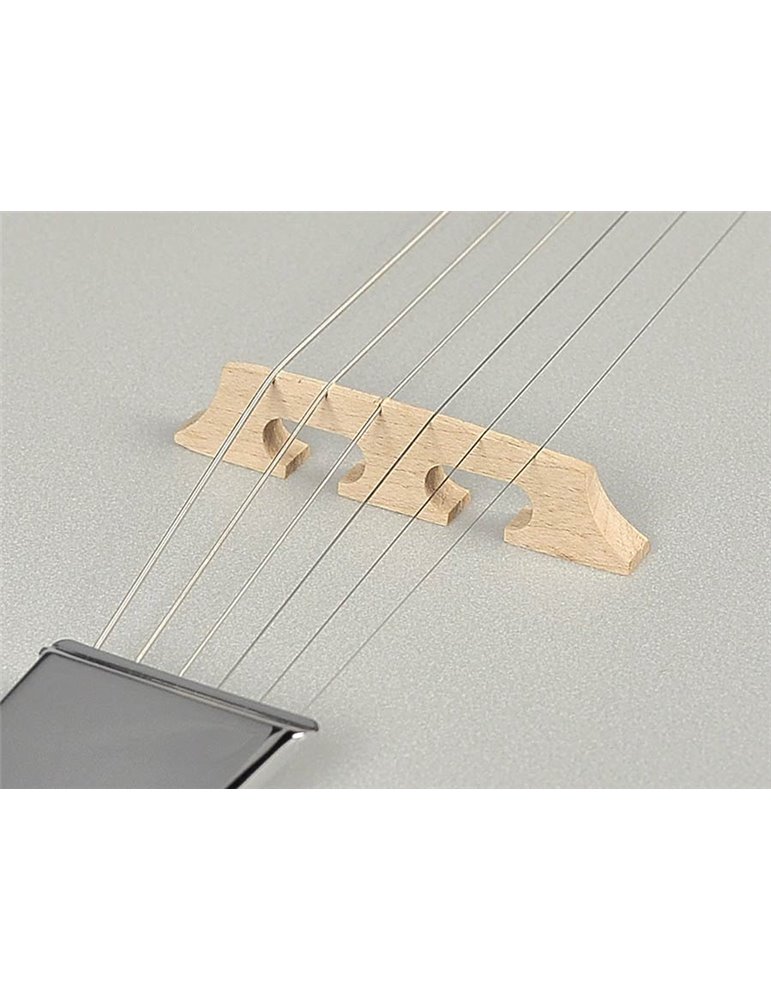 Banjo 6 cuerdas Richwood aluminio-ébano 24T