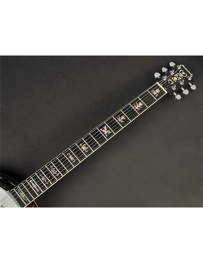 Banjo 6 cuerdas Richwood aluminio-ébano 24T