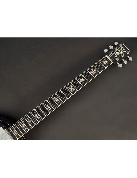 Banjo 6 cuerdas Richwood aluminio-ébano 24T