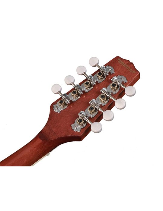 Banjo mandolina Richwood fondo abierto 12T