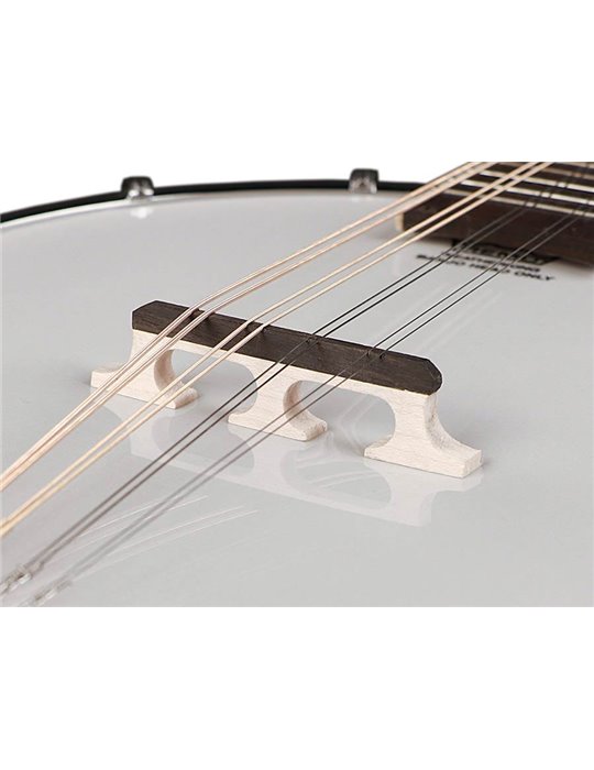 Banjo mandolina Richwood fondo abierto 12T