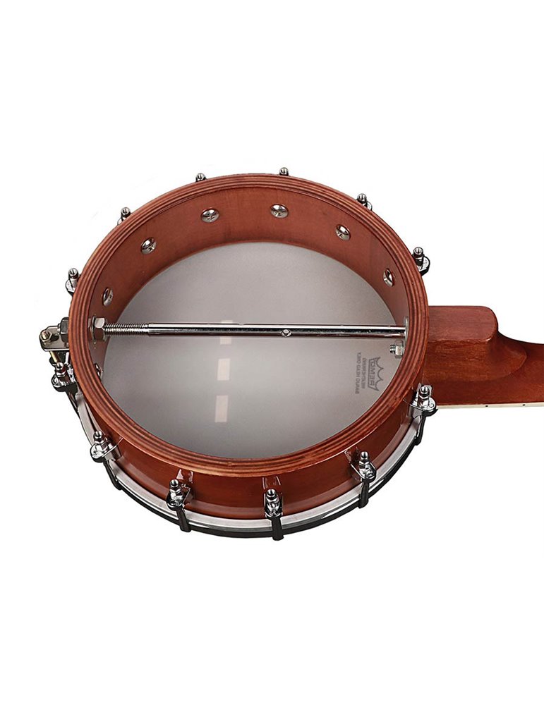 Banjo mandolina Richwood fondo abierto 12T