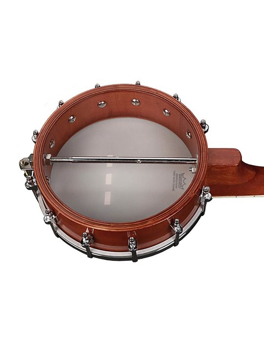 Banjo mandolina Richwood fondo abierto 12T