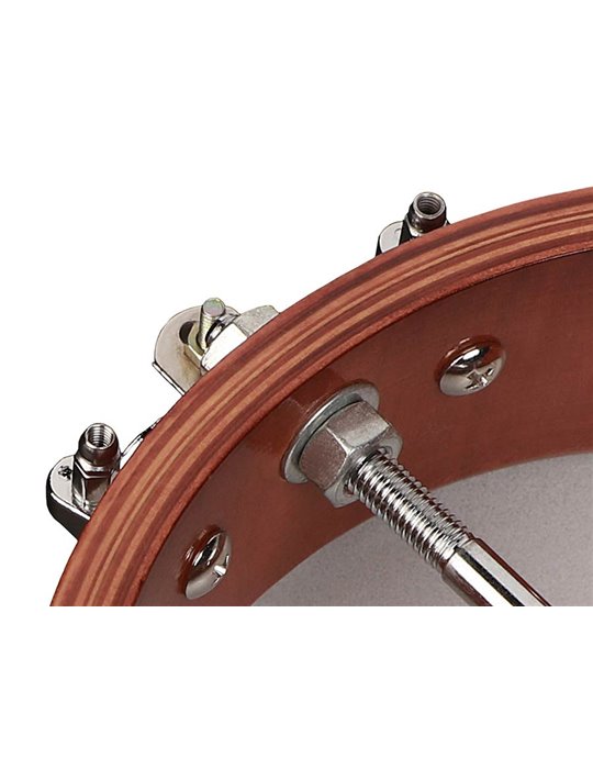 Banjo mandolina Richwood fondo abierto 12T