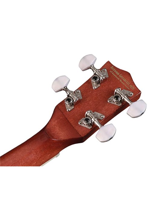 UKELELE BANJO RICHWOOD FONDO ABIERTO 12T