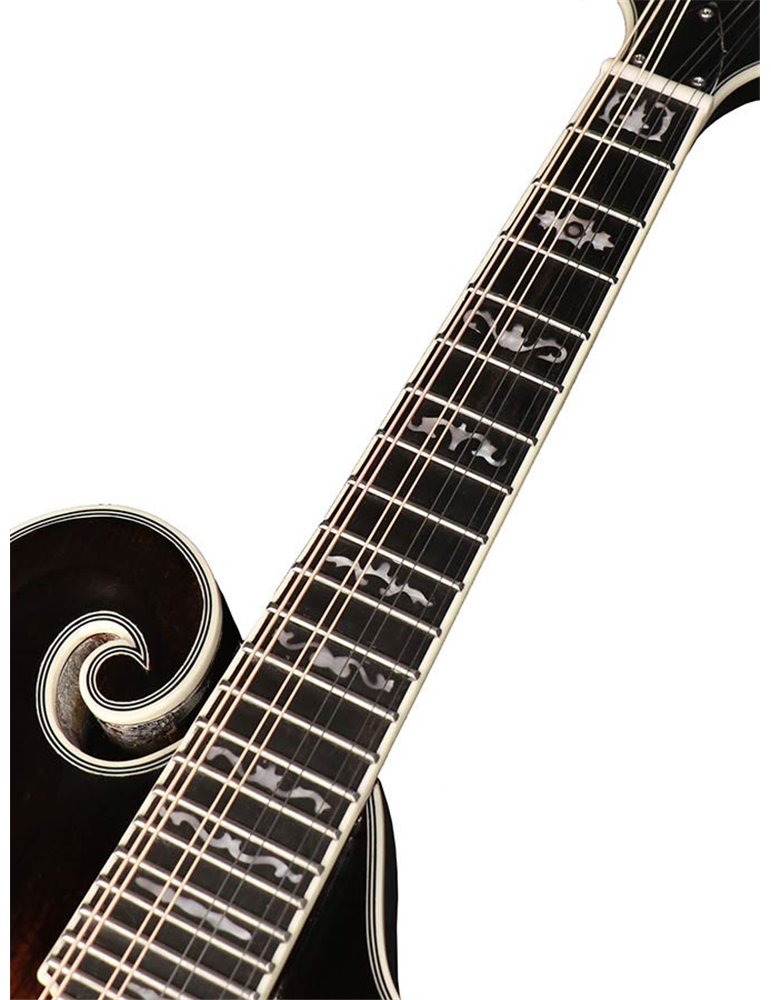 Mandolina est. F Richwood MACIZO arce-abeto sunb