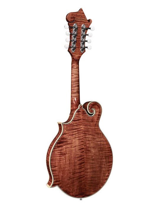 Mandolina esti. F Richwood MACIZO arce-abeto nogal