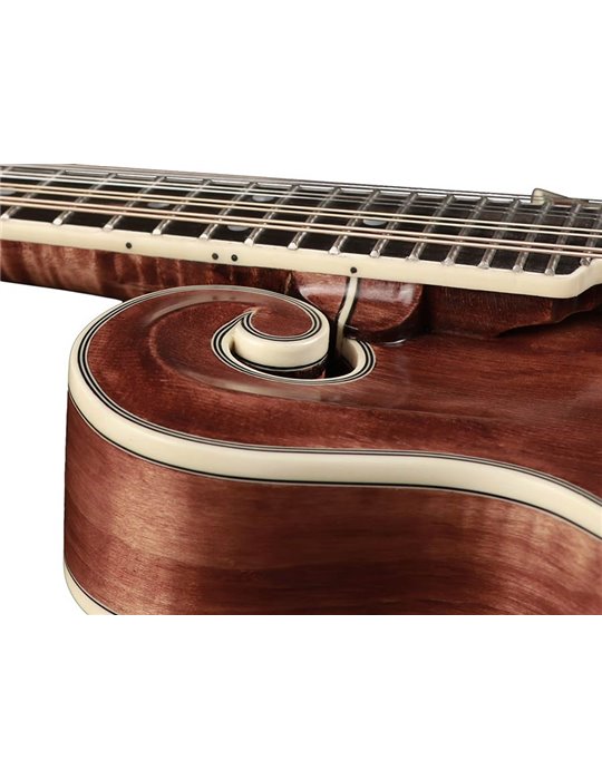 Mandolina esti. F Richwood MACIZO arce-abeto nogal