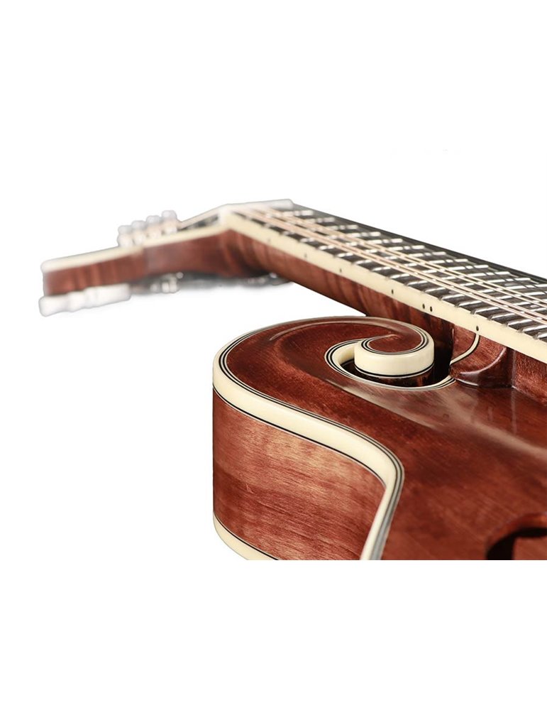 Mandolina esti. F Richwood MACIZO arce-abeto nogal