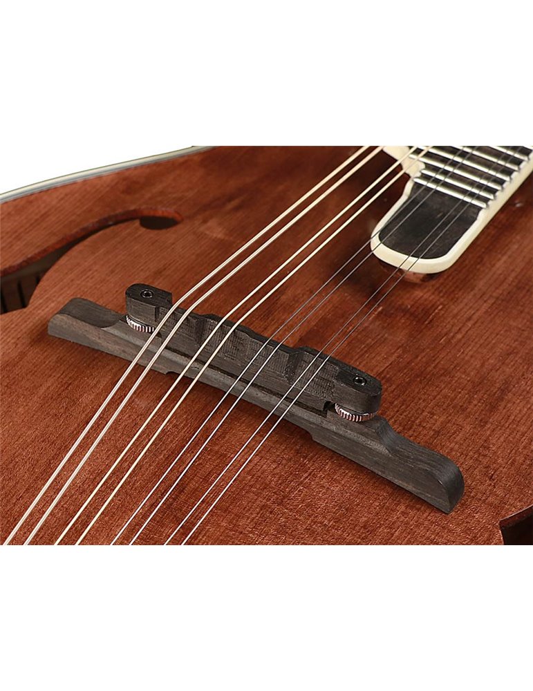 Mandolina esti. F Richwood MACIZO arce-abeto nogal