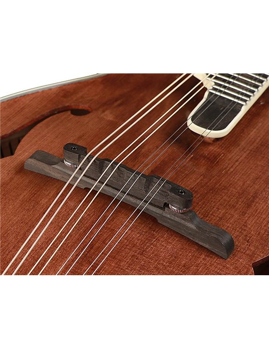 Mandolina esti. F Richwood MACIZO arce-abeto nogal