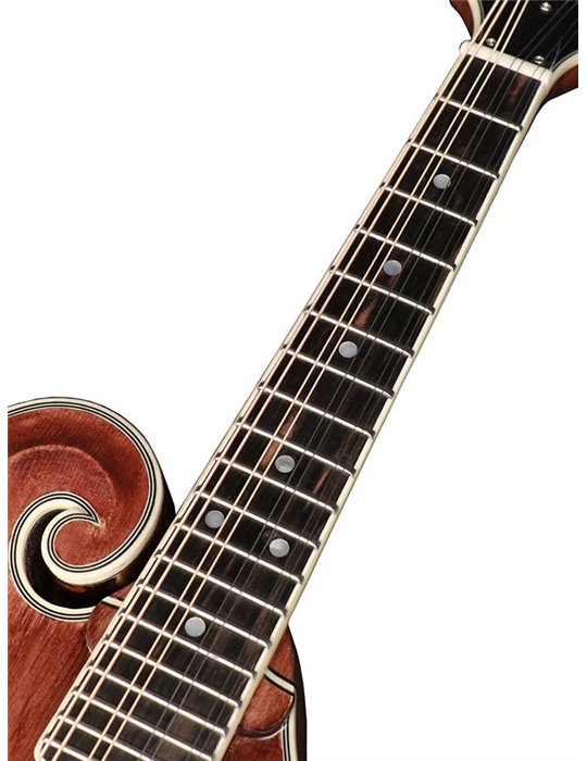 Mandolina esti. F Richwood MACIZO arce-abeto nogal