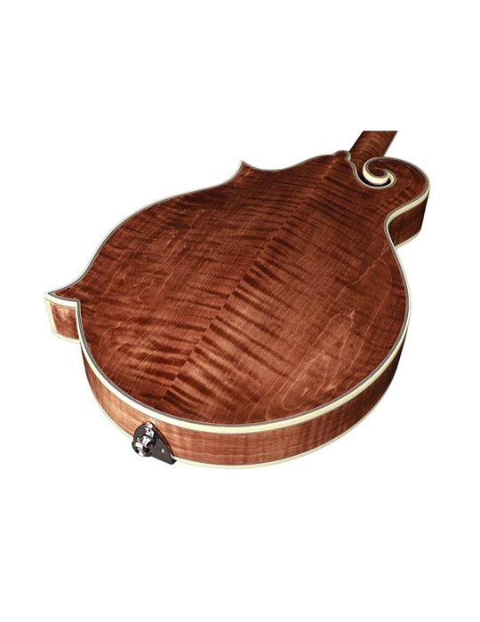 Mandolina esti. F Richwood MACIZO arce-abeto nogal