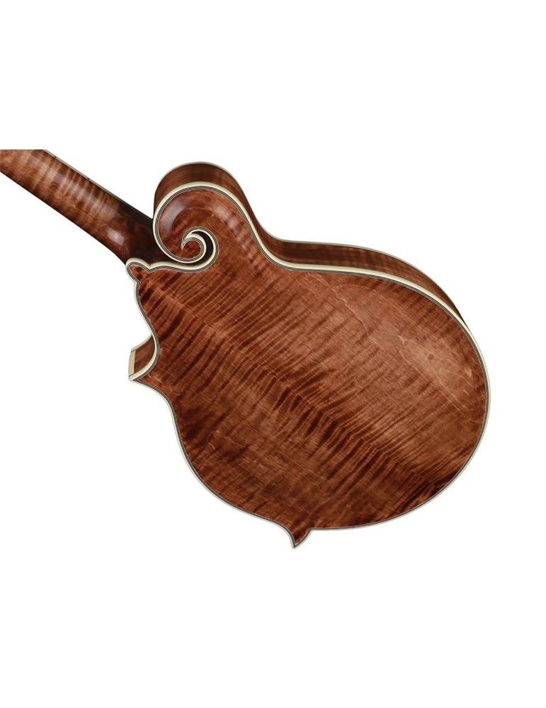 Mandolina esti. F Richwood MACIZO arce-abeto nogal