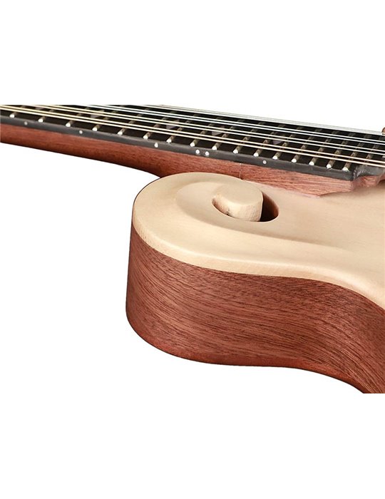 Mandolina est. F Richwood MACIZO arce-abeto natu