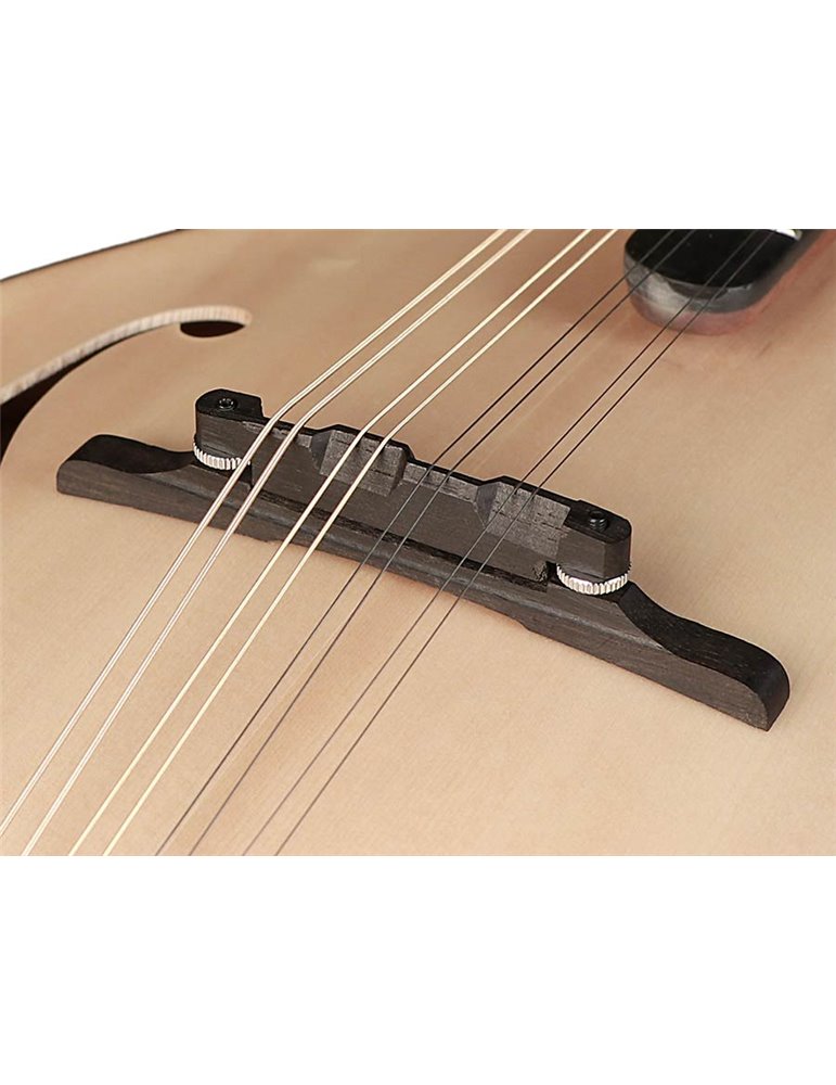 Mandolina est. F Richwood MACIZO arce-abeto natu