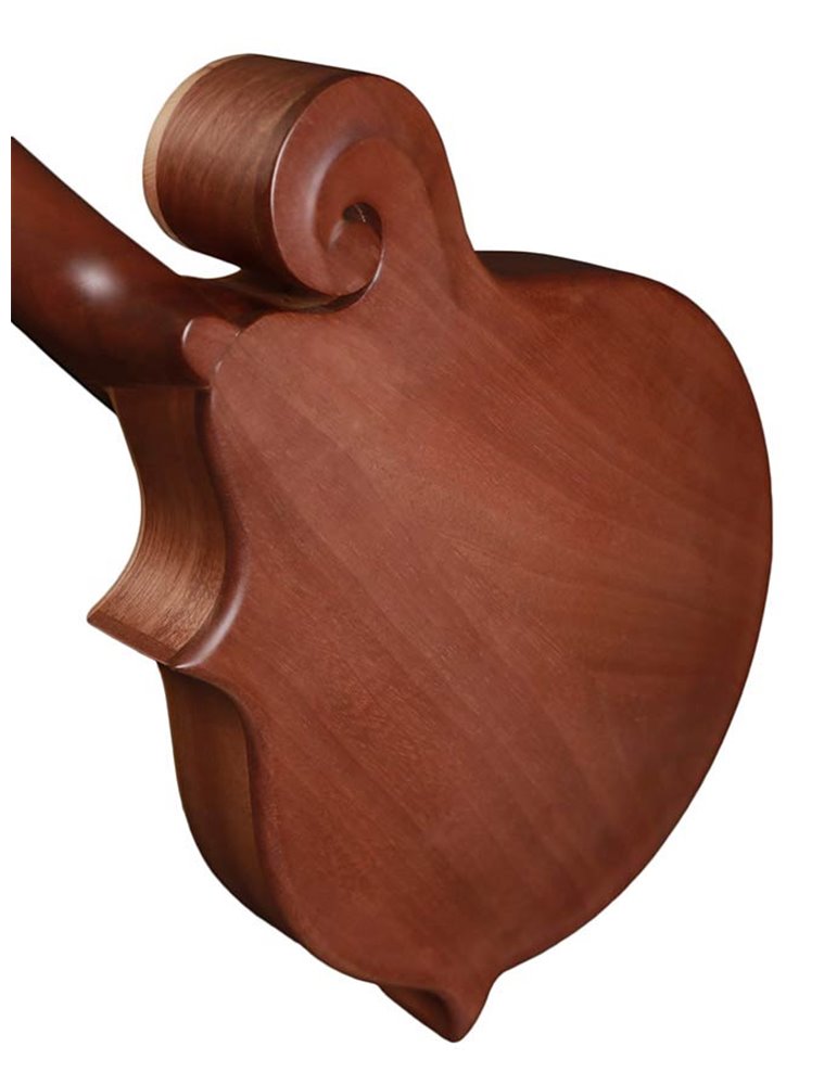 Mandolina est. F Richwood MACIZO arce-abeto natu