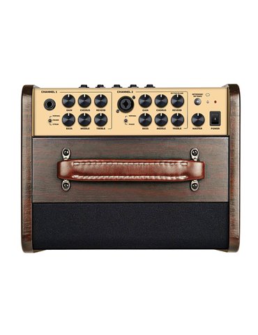 Amplificador guit. Acústica Richwood 2 canales 2