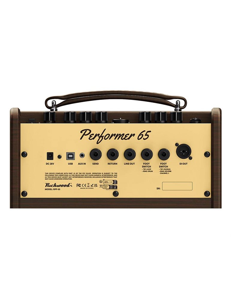 Amplificador guit. Acústica Richwood 2 canales