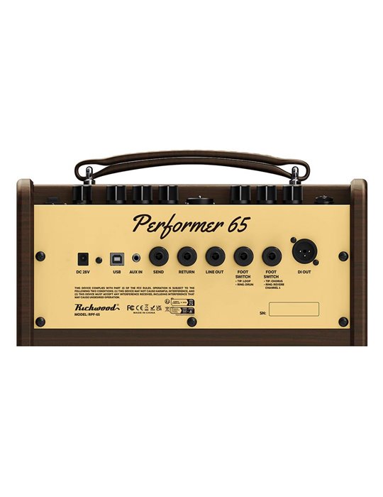 Amplificador guit. Acústica Richwood 2 canales