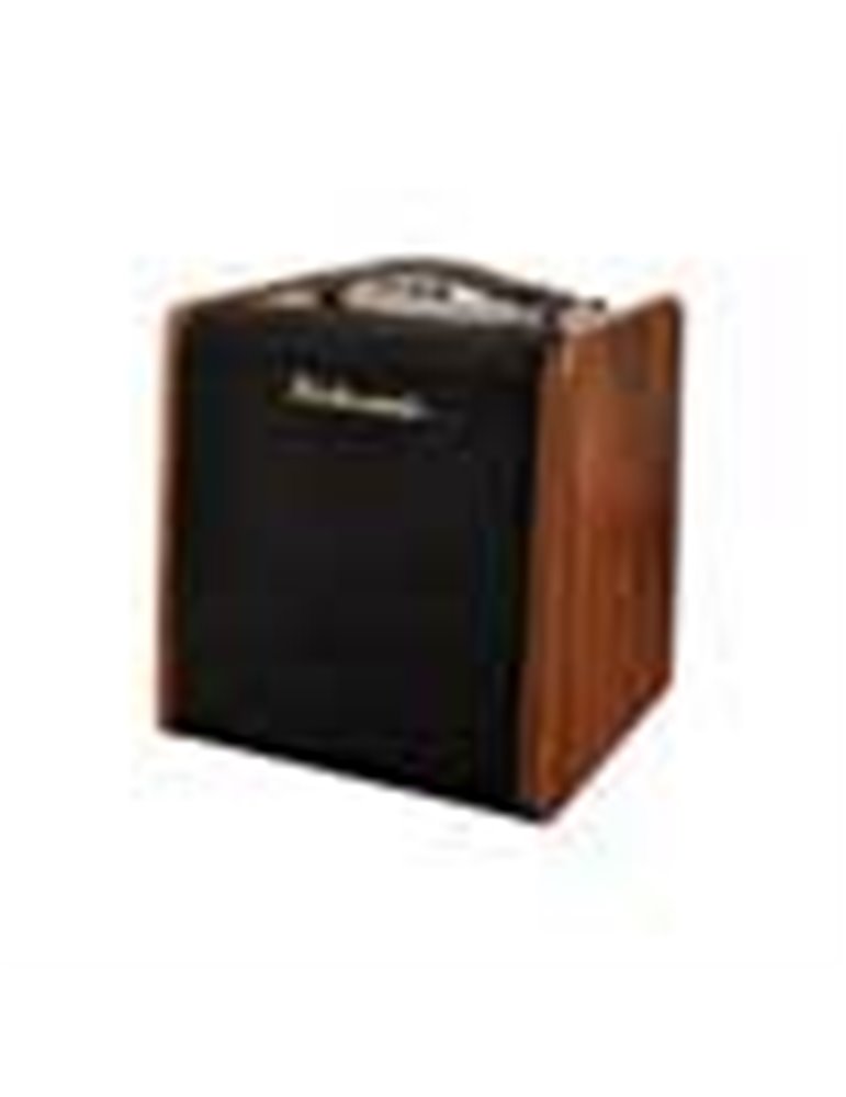 Amplificador guit. Acústica Richwood 2 canales