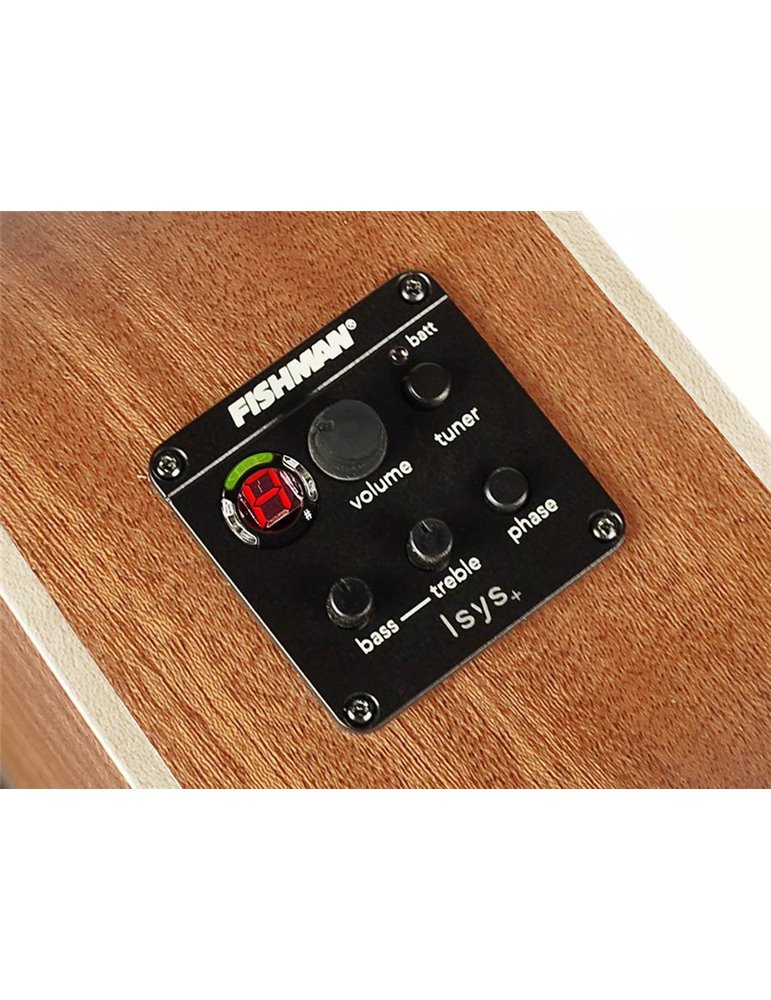 Guit. acú. CE Richwood Songwriter M ARTESANA