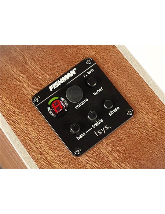 Guit. acú. CE Richwood Songwriter M ARTESANA