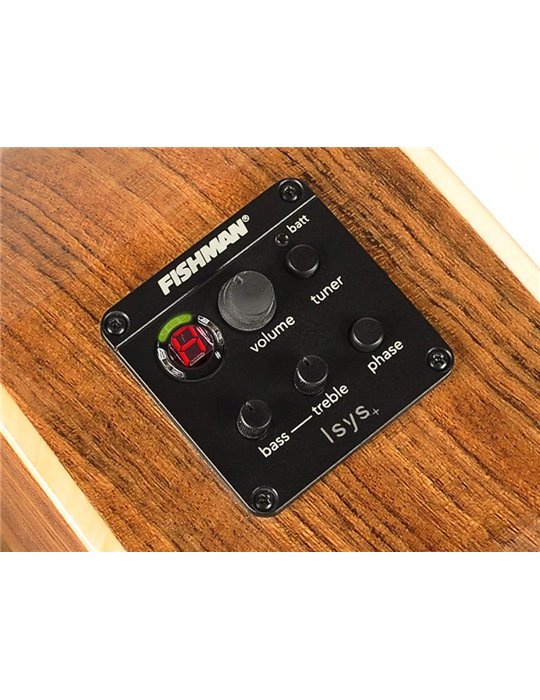 Guit. acú. CE Richwood Songwriter O ARTESANA