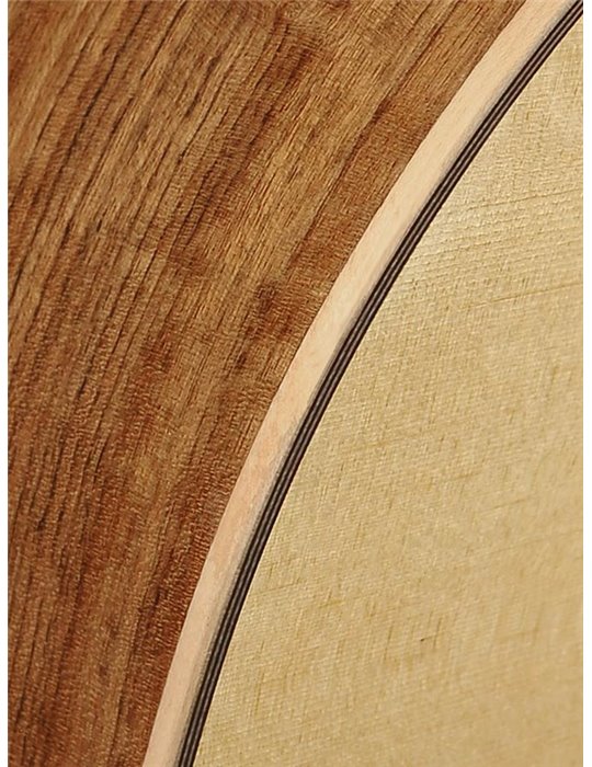 Guit. acú. CE Richwood Songwriter O ARTESANA