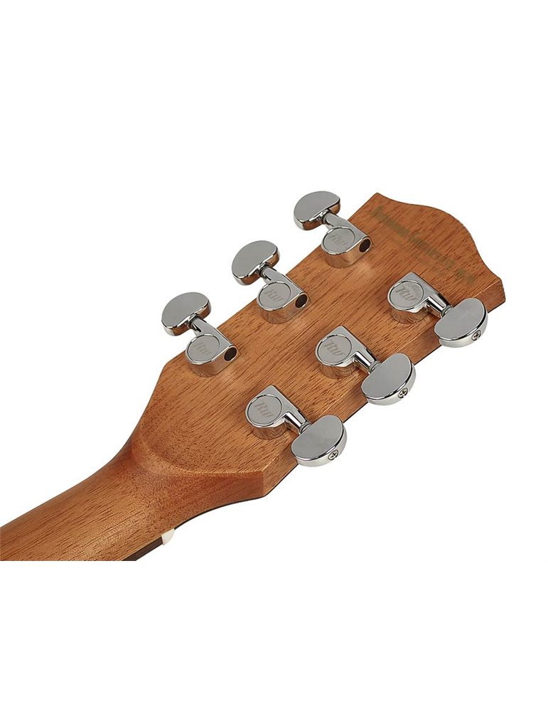 Guit. acú. CE Richwood Songwriter R ARTESANA