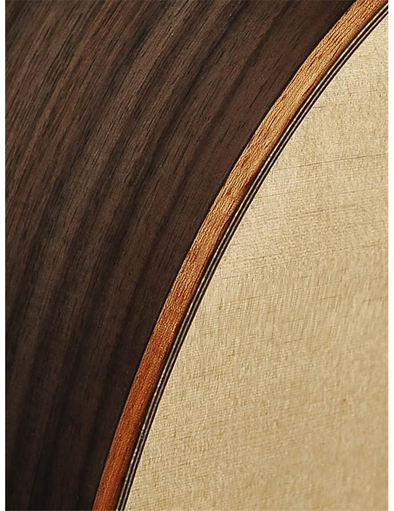 Guit. acú. CE Richwood Songwriter R-W-N ARTESANA