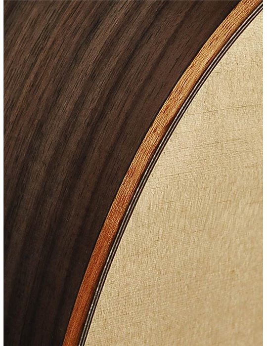 Guit. acú. CE Richwood Songwriter R-W-N ARTESANA