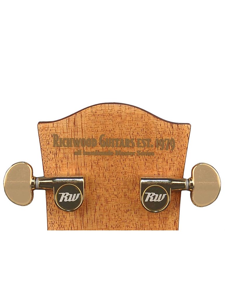 GUITARRA ACÚSTICA RICHWOOD ELECTRIFICADA AUDITORIUM ARTESANA