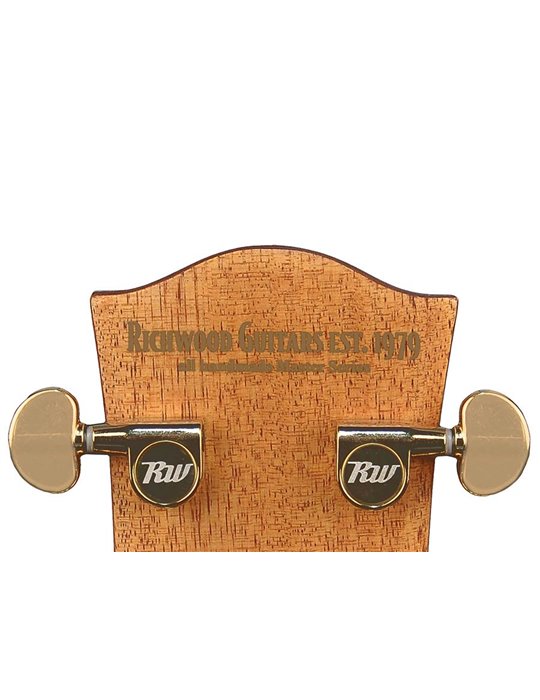 GUITARRA ACÚSTICA RICHWOOD ELECTRIFICADA AUDITORIUM ARTESANA