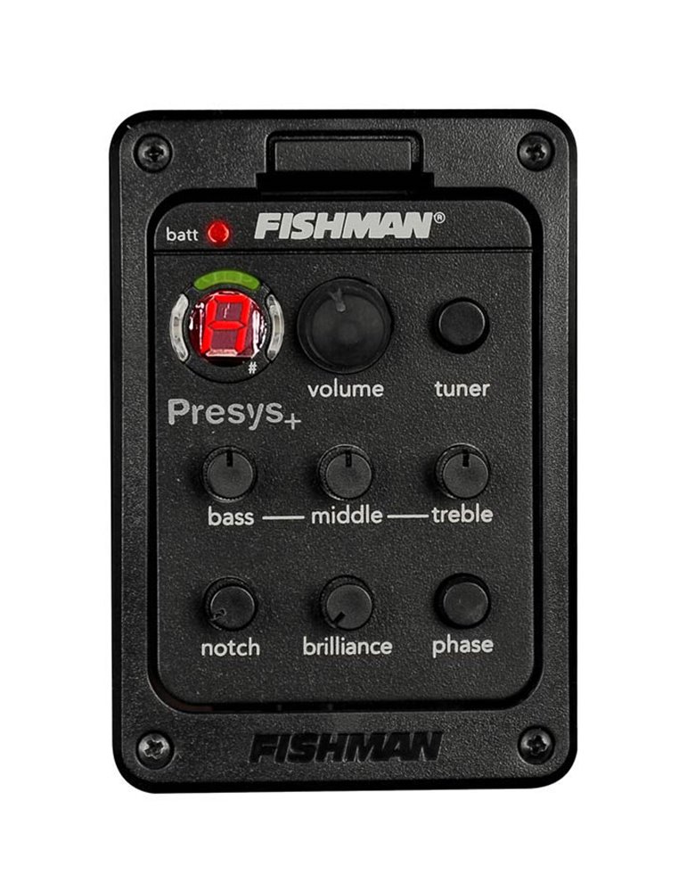 GUITARRA ACÚSTICA RICHWOOD ELECTRIFICADA AUDITORIUM ARTESANA