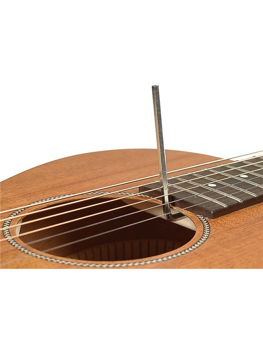 GUITARRA ACÚSTICA RICHWOOD PARLOUR ARTESANA