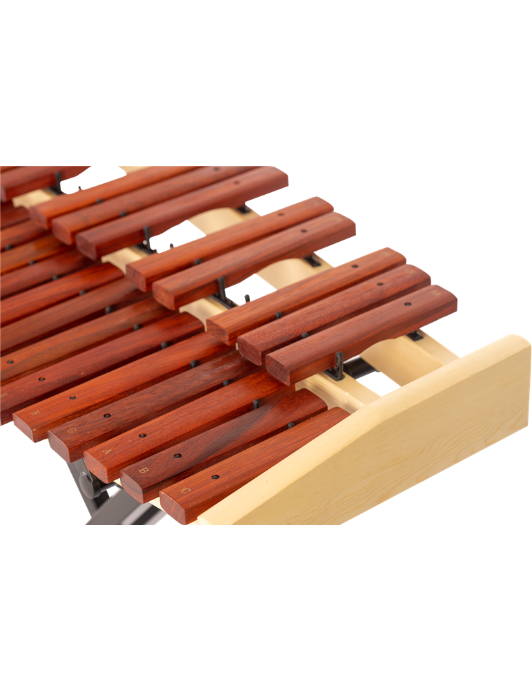 XILÓFONO RITMO DO-DO CROMÁTICO DE 3 OCTAVAS JXL550A