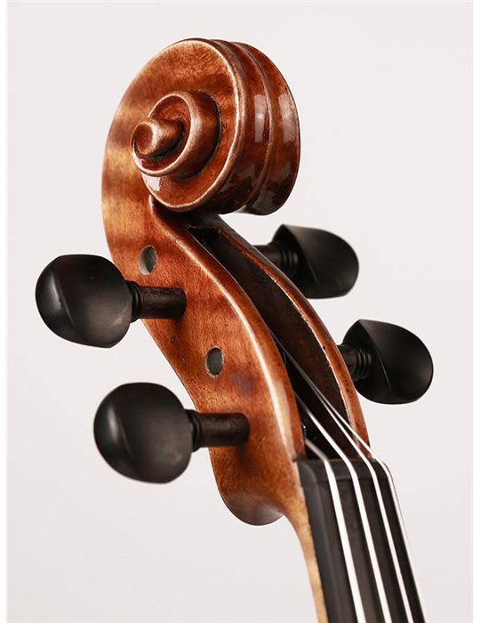 Viola Rudolph 15 arce flameado con estuche