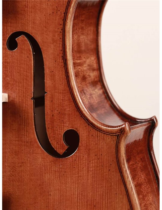 Viola Rudolph 16 arce flameado con estuche