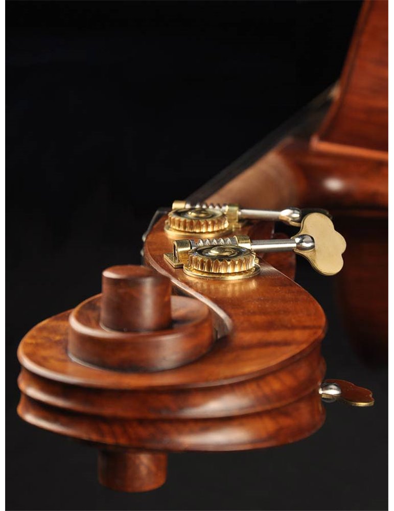 Contrabajo Rudolph 3/4 modelo violín