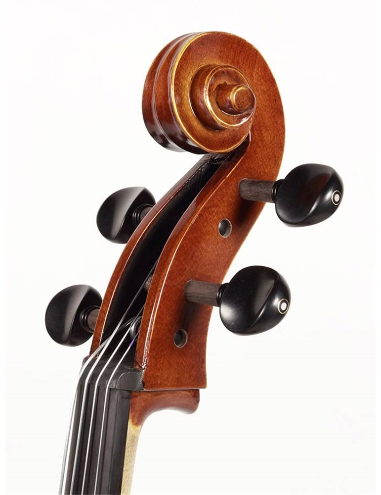 Chelo Rudolph 1/2 macizo flameado