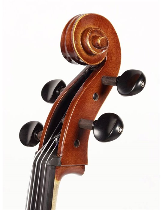 Chelo Rudolph 1/2 macizo flameado