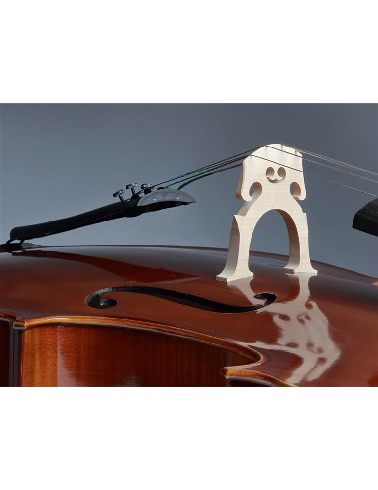 Chelo Rudolph 1/2 macizo flameado