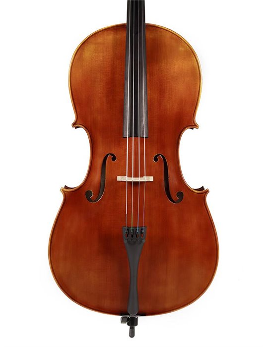 Chelo Rudolph 1/4 macizo flameado