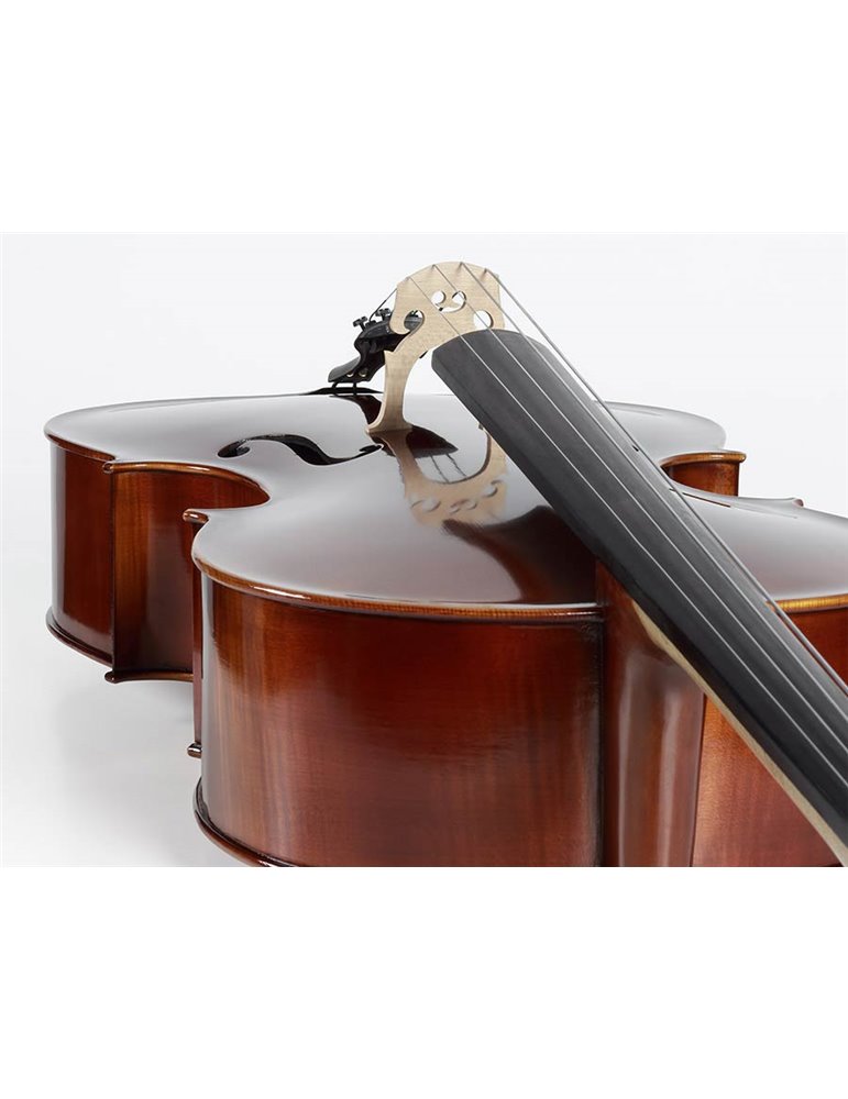 Chelo Rudolph 3/4 macizo flameado