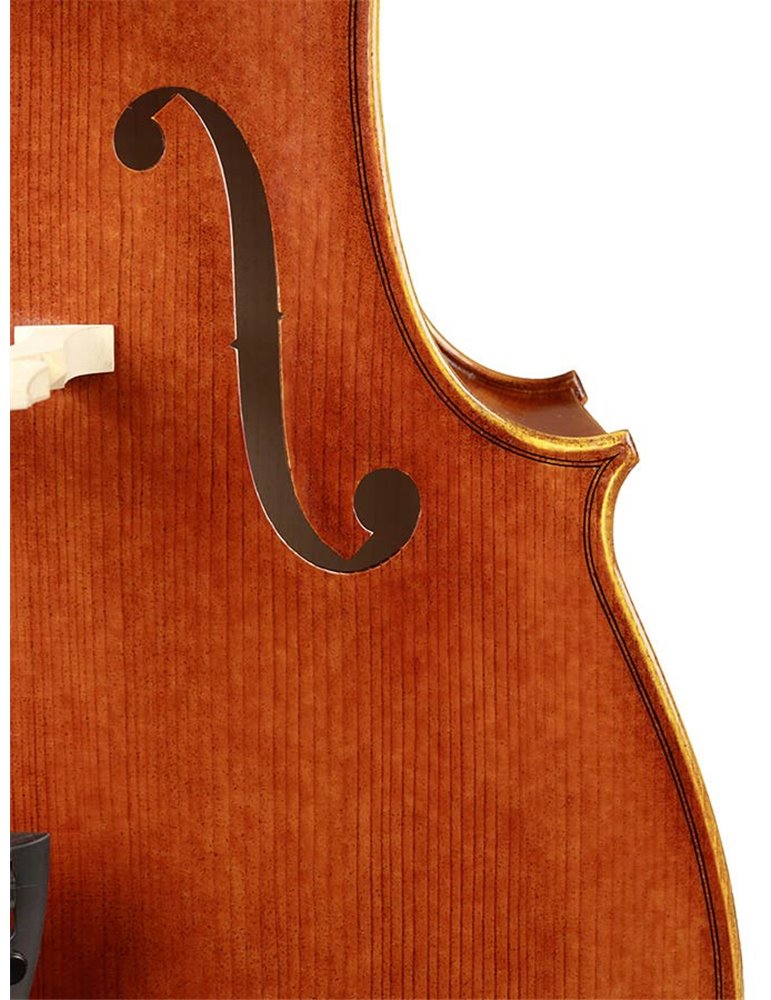 Chelo Rudolph 4/4 macizo acabado claro