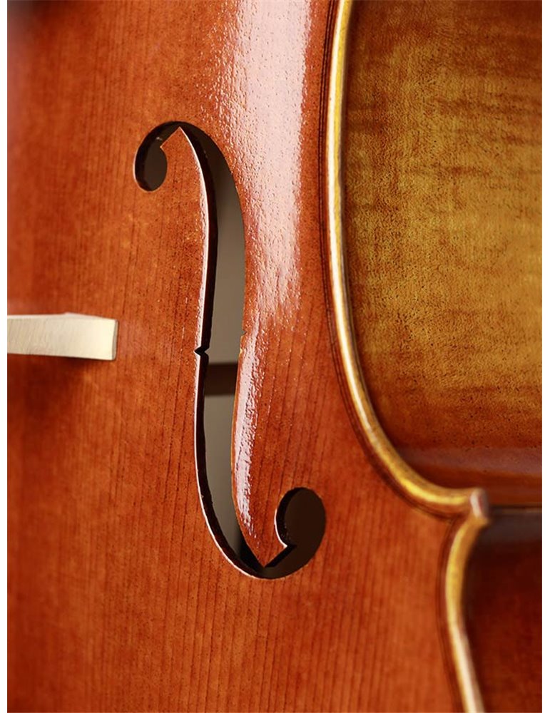 Chelo Rudolph 4/4 macizo acabado claro