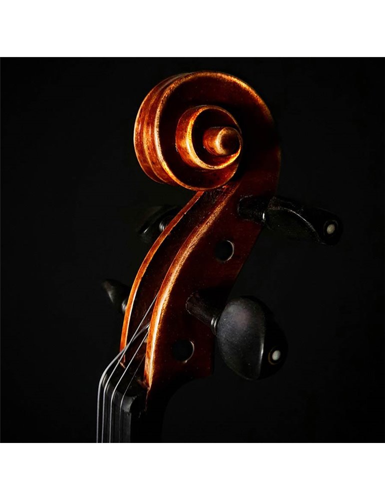 Violín Rudolph 3/4 arce flameado acabado antiguo