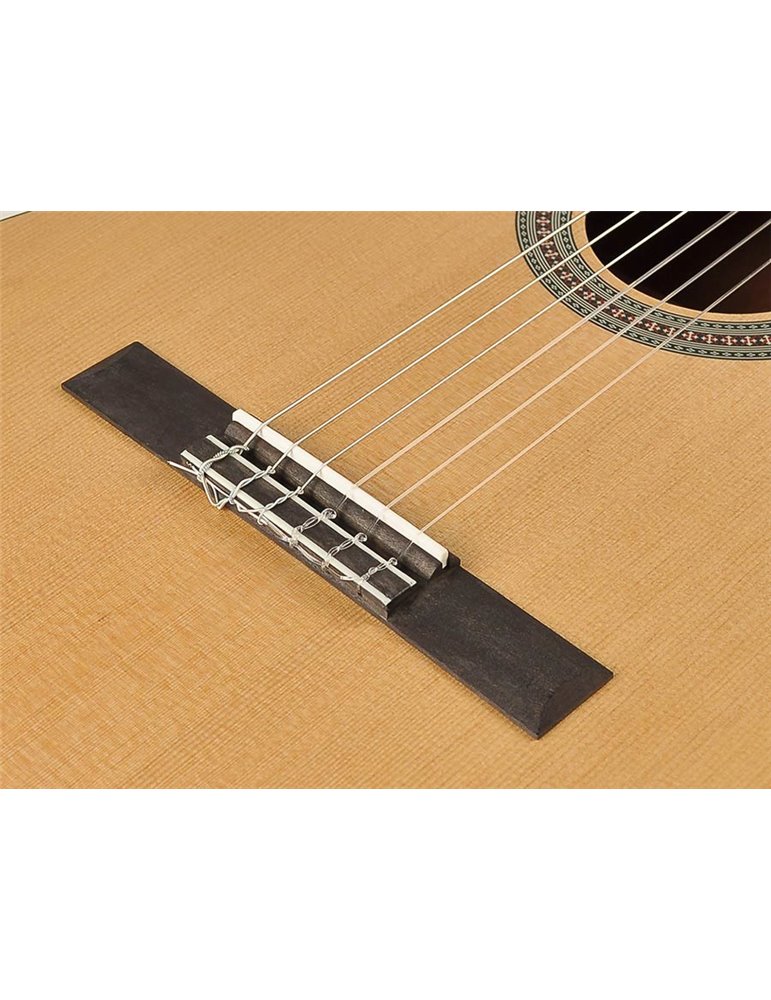 Guit. Salvador abeto/sapeli satinada